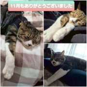 ヒメ日記 2025/11/30 12:22 投稿 ひろみ モアグループ川越人妻花壇