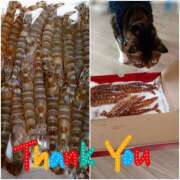 ヒメ日記 2025/12/21 22:06 投稿 ひろみ モアグループ川越人妻花壇