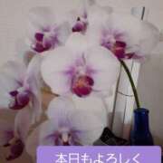 ひろみ 出勤します🚃🚃🚃 モアグループ川越人妻花壇