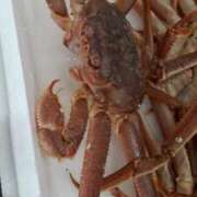 ひろみ 昨日のお礼💞 モアグループ川越人妻花壇