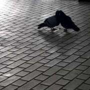 ヒメ日記 2026/01/19 09:16 投稿 ひろみ モアグループ川越人妻花壇