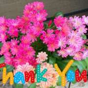 ヒメ日記 2026/01/23 22:29 投稿 ひろみ モアグループ川越人妻花壇