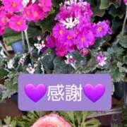 ヒメ日記 2026/01/31 11:48 投稿 ひろみ モアグループ川越人妻花壇