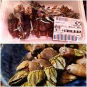 ヒメ日記 2026/02/04 11:14 投稿 ひろみ モアグループ川越人妻花壇