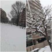 ヒメ日記 2026/02/08 11:31 投稿 ひろみ モアグループ川越人妻花壇