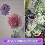 ヒメ日記 2026/02/19 09:11 投稿 ひろみ モアグループ川越人妻花壇