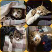 ヒメ日記 2026/02/22 11:43 投稿 ひろみ モアグループ川越人妻花壇