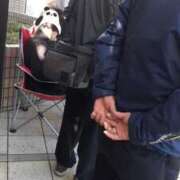 ヒメ日記 2026/03/24 08:09 投稿 ひろみ モアグループ川越人妻花壇