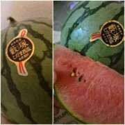 ヒメ日記 2026/03/25 10:43 投稿 ひろみ モアグループ川越人妻花壇