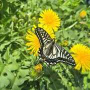 ひろみ ありがとうございました💖 モアグループ川越人妻花壇