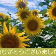ヒメ日記 2026/07/27 20:31 投稿 ひろみ モアグループ川越人妻花壇