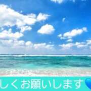 ヒメ日記 2026/07/29 11:16 投稿 ひろみ モアグループ川越人妻花壇