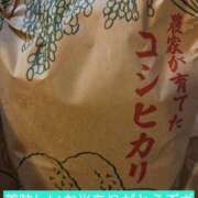 ヒメ日記 2026/10/24 09:21 投稿 ひろみ モアグループ川越人妻花壇