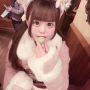 ヒメ日記 2025/04/20 00:19 投稿 ねね エデン