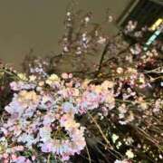 ヒメ日記 2025/04/02 12:02 投稿 夢咲ゆな ニューハーフヘルスLIBE 東京新宿