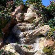 ヒメ日記 2025/03/08 14:22 投稿 いちご 錦糸町ちゃんこ