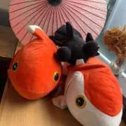 ヒメ日記 2026/02/20 15:02 投稿 いちご 錦糸町ちゃんこ