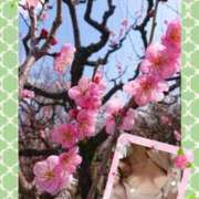 ヒメ日記 2025/02/18 17:02 投稿 こうあ 松本人妻隊