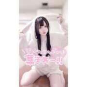 ヒメ日記 2025/04/15 10:47 投稿 なぎさ Las Vegas(新潟)