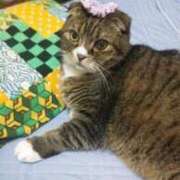 ヒメ日記 2024/12/22 18:26 投稿 菅野倫美 五十路マダムエクスプレス横浜店（カサブランカグループ）