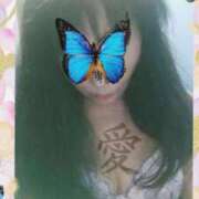 ヒメ日記 2024/12/27 11:46 投稿 菅野倫美 五十路マダムエクスプレス横浜店（カサブランカグループ）