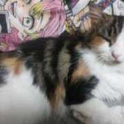 ヒメ日記 2024/12/28 18:06 投稿 菅野倫美 五十路マダムエクスプレス横浜店（カサブランカグループ）