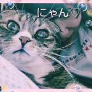 ヒメ日記 2025/01/17 10:38 投稿 菅野倫美 五十路マダムエクスプレス横浜店（カサブランカグループ）