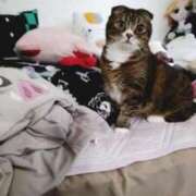 ヒメ日記 2025/02/20 11:50 投稿 菅野倫美 五十路マダムエクスプレス横浜店（カサブランカグループ）