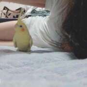 ヒメ日記 2025/04/12 18:42 投稿 菅野倫美 五十路マダムエクスプレス横浜店（カサブランカグループ）