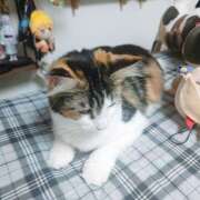 ヒメ日記 2025/09/12 10:24 投稿 菅野倫美 五十路マダムエクスプレス横浜店（カサブランカグループ）