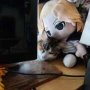 ヒメ日記 2025/09/20 14:00 投稿 菅野倫美 五十路マダムエクスプレス横浜店（カサブランカグループ）