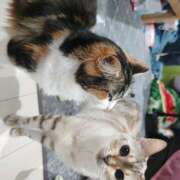 ヒメ日記 2025/10/25 13:58 投稿 菅野倫美 五十路マダムエクスプレス横浜店（カサブランカグループ）