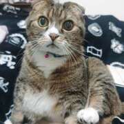 ヒメ日記 2025/12/12 17:30 投稿 菅野倫美 五十路マダムエクスプレス横浜店（カサブランカグループ）