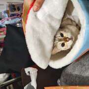 ヒメ日記 2025/12/16 10:14 投稿 菅野倫美 五十路マダムエクスプレス横浜店（カサブランカグループ）