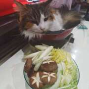 ヒメ日記 2026/01/03 21:18 投稿 菅野倫美 五十路マダムエクスプレス横浜店（カサブランカグループ）