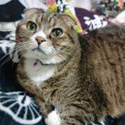 ヒメ日記 2026/02/23 11:56 投稿 菅野倫美 五十路マダムエクスプレス横浜店（カサブランカグループ）