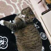 ヒメ日記 2026/02/27 12:58 投稿 菅野倫美 五十路マダムエクスプレス横浜店（カサブランカグループ）