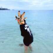 ヒメ日記 2025/09/07 23:21 投稿 きりん ビギナーズ神戸