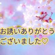 ヒメ日記 2025/04/20 10:30 投稿 沢口和美 五十路マダムエクスプレス横浜店（カサブランカグループ）