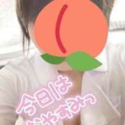 ヒメ日記 2025/04/13 07:17 投稿 もも【福島から派遣】 アロマ＆アロマ