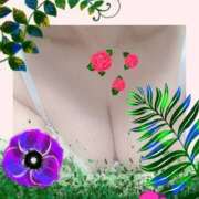 米倉未来 やっと明日 五十路マダムエクスプレス横浜店（カサブランカグループ）