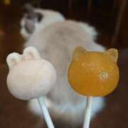 ヒメ日記 2025/05/29 22:56 投稿 夜宵(やよい) 熟女の風俗最終章　鶯谷店