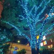 ヒメ日記 2024/12/23 08:44 投稿 西畑多希 五十路マダムエクスプレス横浜店（カサブランカグループ）