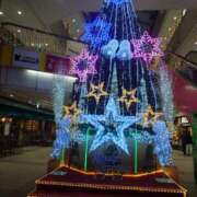 ヒメ日記 2024/12/24 08:42 投稿 西畑多希 五十路マダムエクスプレス横浜店（カサブランカグループ）