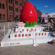 ヒメ日記 2025/02/09 08:16 投稿 西畑多希 五十路マダムエクスプレス横浜店（カサブランカグループ）