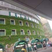 ヒメ日記 2025/07/02 20:40 投稿 西畑多希 五十路マダムエクスプレス横浜店（カサブランカグループ）