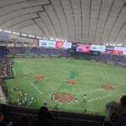 ヒメ日記 2025/11/17 08:34 投稿 西畑多希 五十路マダムエクスプレス横浜店（カサブランカグループ）