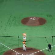 ヒメ日記 2026/09/21 08:12 投稿 西畑多希 五十路マダムエクスプレス横浜店（カサブランカグループ）