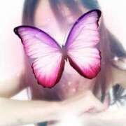 ヒメ日記 2025/09/22 15:06 投稿 けい(昭和47年生まれ) 熟年カップル名古屋～生電話からの営み～