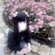 ヒメ日記 2025/07/24 19:52 投稿 めあ プロフィール天王寺